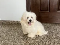 processed/d1a181ef-18c0-4932-8e08-0c0391f04f89/listing/09cc4cbd-6026-4871-ae2b-353ce687c496/253841c4-84fd-405b-b793-7b02748f5a22