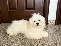 processed/d1a181ef-18c0-4932-8e08-0c0391f04f89/listing/09cc4cbd-6026-4871-ae2b-353ce687c496/3a830997-9777-4ad1-8731-5e15db43afc6