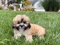 processed/d1a181ef-18c0-4932-8e08-0c0391f04f89/listing/11c0129e-9a0f-4367-9092-9be58ddd7d31/0646af9b-f3a1-4fa1-a3c5-fc8a4e458dc1