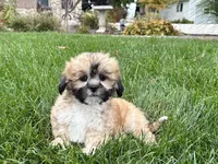 processed/d1a181ef-18c0-4932-8e08-0c0391f04f89/listing/11c0129e-9a0f-4367-9092-9be58ddd7d31/0dcd5b69-ad53-4092-84d7-28ff0e700d51