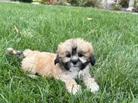 processed/d1a181ef-18c0-4932-8e08-0c0391f04f89/listing/11c0129e-9a0f-4367-9092-9be58ddd7d31/148886a5-de84-49b3-8d6f-236543d1cef3