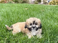 processed/d1a181ef-18c0-4932-8e08-0c0391f04f89/listing/11c0129e-9a0f-4367-9092-9be58ddd7d31/34488c59-d1f4-4324-9f99-4c083de3f2cd