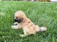 processed/d1a181ef-18c0-4932-8e08-0c0391f04f89/listing/11c0129e-9a0f-4367-9092-9be58ddd7d31/394d2e5c-cd41-471a-9eee-2e42cf48bac1