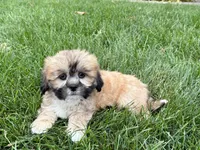 processed/d1a181ef-18c0-4932-8e08-0c0391f04f89/listing/11c0129e-9a0f-4367-9092-9be58ddd7d31/e4b1374a-1abc-43e7-b8f6-96b14799dd19