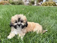 processed/d1a181ef-18c0-4932-8e08-0c0391f04f89/listing/11c0129e-9a0f-4367-9092-9be58ddd7d31/f4f56b9b-6ed2-4851-a863-646f51f74afb