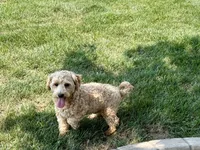 processed/d1a181ef-18c0-4932-8e08-0c0391f04f89/listing/1a2d2b7e-a301-4bc8-ae9a-9cb7384ae9bd/0c3fd488-8a9e-4858-9155-60dce7a7f303