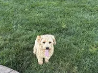 processed/d1a181ef-18c0-4932-8e08-0c0391f04f89/listing/1a2d2b7e-a301-4bc8-ae9a-9cb7384ae9bd/2fe1b8eb-b197-4dd4-9eea-c2a05c7f02e4