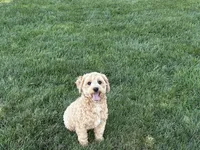 processed/d1a181ef-18c0-4932-8e08-0c0391f04f89/listing/1a2d2b7e-a301-4bc8-ae9a-9cb7384ae9bd/b063be84-1e0d-46cf-ac44-824f34dec06f