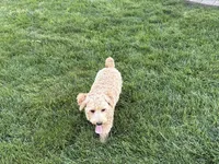 processed/d1a181ef-18c0-4932-8e08-0c0391f04f89/listing/1a2d2b7e-a301-4bc8-ae9a-9cb7384ae9bd/ba85bba9-f16a-4d0c-a100-2fea1188d5fa