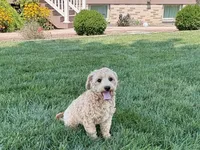 processed/d1a181ef-18c0-4932-8e08-0c0391f04f89/listing/1a2d2b7e-a301-4bc8-ae9a-9cb7384ae9bd/d767f43d-3289-485b-8e93-e6b689e45c6a