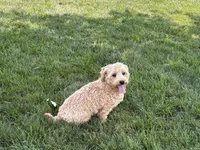 processed/d1a181ef-18c0-4932-8e08-0c0391f04f89/listing/1a2d2b7e-a301-4bc8-ae9a-9cb7384ae9bd/de6d4b12-911f-435a-bd0f-5598f1b36a1e