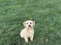 processed/d1a181ef-18c0-4932-8e08-0c0391f04f89/listing/1a2d2b7e-a301-4bc8-ae9a-9cb7384ae9bd/fa1e8ff1-90f8-42c4-b65f-85f965a3c545