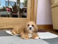 processed/d1a181ef-18c0-4932-8e08-0c0391f04f89/listing/1f2609bc-6e89-46e1-a008-3b1a6761c44d/0c502952-addc-413e-bf32-40c30c10d4dd