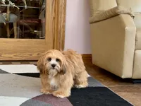 processed/d1a181ef-18c0-4932-8e08-0c0391f04f89/listing/1f2609bc-6e89-46e1-a008-3b1a6761c44d/212555c2-62f0-4ebc-9483-cebbdc3aa81d