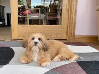 processed/d1a181ef-18c0-4932-8e08-0c0391f04f89/listing/1f2609bc-6e89-46e1-a008-3b1a6761c44d/23874d6b-f52e-435b-8148-dff04641c65d