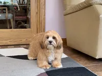 processed/d1a181ef-18c0-4932-8e08-0c0391f04f89/listing/1f2609bc-6e89-46e1-a008-3b1a6761c44d/68cb5c19-025f-4d5f-82f9-cdceb6ca4148