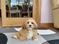 processed/d1a181ef-18c0-4932-8e08-0c0391f04f89/listing/1f2609bc-6e89-46e1-a008-3b1a6761c44d/843e49ff-c93c-4594-a016-0c2224828f9b