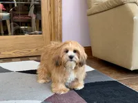 processed/d1a181ef-18c0-4932-8e08-0c0391f04f89/listing/1f2609bc-6e89-46e1-a008-3b1a6761c44d/880a9538-b9d1-4964-b6fc-643916ca8641