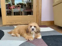 processed/d1a181ef-18c0-4932-8e08-0c0391f04f89/listing/1f2609bc-6e89-46e1-a008-3b1a6761c44d/e739f6e9-725f-46ed-9710-ae3be50a5824