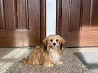 processed/d1a181ef-18c0-4932-8e08-0c0391f04f89/listing/305be4a0-5ae7-41ad-b57d-e6698c4358e1/a22aea50-46da-45e7-999b-fee6a04bdfc7