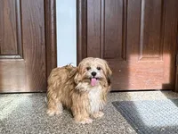 processed/d1a181ef-18c0-4932-8e08-0c0391f04f89/listing/305be4a0-5ae7-41ad-b57d-e6698c4358e1/c4acae25-0726-4e30-ad17-ea8703f8a6c2