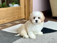 processed/d1a181ef-18c0-4932-8e08-0c0391f04f89/listing/4363c69d-5cd3-4cd4-b69a-af51006802f6/5983babb-d8d4-418e-b135-26dade1e2a81