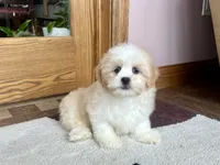 processed/d1a181ef-18c0-4932-8e08-0c0391f04f89/listing/4363c69d-5cd3-4cd4-b69a-af51006802f6/9d906d02-175f-41c1-8025-417dae8470e2