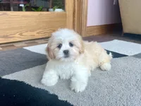 processed/d1a181ef-18c0-4932-8e08-0c0391f04f89/listing/4363c69d-5cd3-4cd4-b69a-af51006802f6/f71f8c80-d405-4123-8bae-e52f25dcb349