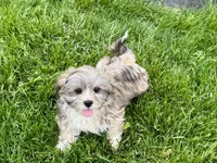 processed/d1a181ef-18c0-4932-8e08-0c0391f04f89/listing/4ba0bbea-6288-4cd7-9c1c-b43db2b4b6f8/157900e3-f9a3-43a0-8033-1dde3842a4ed