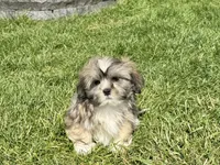 processed/d1a181ef-18c0-4932-8e08-0c0391f04f89/listing/4ba0bbea-6288-4cd7-9c1c-b43db2b4b6f8/1b4de49c-b490-4395-a83d-66917f5ff970