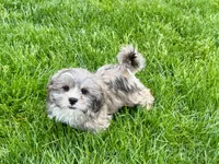 processed/d1a181ef-18c0-4932-8e08-0c0391f04f89/listing/4ba0bbea-6288-4cd7-9c1c-b43db2b4b6f8/382e22fb-4c10-4cb9-8b5a-e7d9fe036340