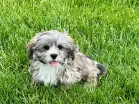 processed/d1a181ef-18c0-4932-8e08-0c0391f04f89/listing/4ba0bbea-6288-4cd7-9c1c-b43db2b4b6f8/80fd5515-ef38-4a56-ba05-08765d063cd0