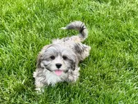 processed/d1a181ef-18c0-4932-8e08-0c0391f04f89/listing/4ba0bbea-6288-4cd7-9c1c-b43db2b4b6f8/cf82192a-87b1-4cfe-849d-8d755d7238f2