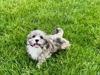 processed/d1a181ef-18c0-4932-8e08-0c0391f04f89/listing/4ba0bbea-6288-4cd7-9c1c-b43db2b4b6f8/d55eb959-ec0e-4996-b863-1e14622f9473