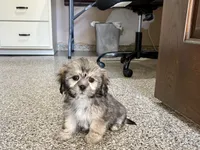 processed/d1a181ef-18c0-4932-8e08-0c0391f04f89/listing/4ca66f0e-a3d9-4bd9-a9bd-b22812392eb9/34774c13-fb34-44eb-b271-c565f4525957