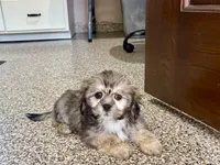 processed/d1a181ef-18c0-4932-8e08-0c0391f04f89/listing/4ca66f0e-a3d9-4bd9-a9bd-b22812392eb9/39ad951d-7ac0-46fa-a2f7-6c63b1a785ba