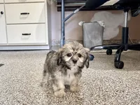 processed/d1a181ef-18c0-4932-8e08-0c0391f04f89/listing/4ca66f0e-a3d9-4bd9-a9bd-b22812392eb9/501a605f-f4bf-4fa4-abd8-34c572418cc7