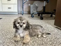 processed/d1a181ef-18c0-4932-8e08-0c0391f04f89/listing/4ca66f0e-a3d9-4bd9-a9bd-b22812392eb9/8421c222-313d-4c5c-9eef-af67d5ce2132