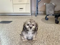 processed/d1a181ef-18c0-4932-8e08-0c0391f04f89/listing/4ca66f0e-a3d9-4bd9-a9bd-b22812392eb9/c0188c81-3089-4a5f-bd47-4561693fa470