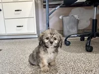 processed/d1a181ef-18c0-4932-8e08-0c0391f04f89/listing/4ca66f0e-a3d9-4bd9-a9bd-b22812392eb9/cd523e98-46a0-46ed-916b-0d65fd246f67