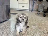 processed/d1a181ef-18c0-4932-8e08-0c0391f04f89/listing/4ca66f0e-a3d9-4bd9-a9bd-b22812392eb9/f248d5de-70d2-4ac7-9a9b-c9fc687f6aea