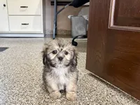 processed/d1a181ef-18c0-4932-8e08-0c0391f04f89/listing/4ca66f0e-a3d9-4bd9-a9bd-b22812392eb9/fe2e98e3-7a8c-4125-868d-53dc9cc8424c