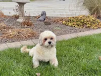 processed/d1a181ef-18c0-4932-8e08-0c0391f04f89/listing/4de8c8a1-28a9-41db-9694-3b3dcf21abaa/320f8ae9-2632-46fd-8cb8-a453bfa2ebc8