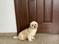 processed/d1a181ef-18c0-4932-8e08-0c0391f04f89/listing/4de8c8a1-28a9-41db-9694-3b3dcf21abaa/3fef0405-ab9e-45d2-8ce4-d1d4f6d8d935