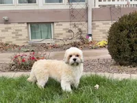 processed/d1a181ef-18c0-4932-8e08-0c0391f04f89/listing/4de8c8a1-28a9-41db-9694-3b3dcf21abaa/81777a18-7e45-47a0-90e7-9d6c1fab7345