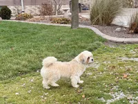 processed/d1a181ef-18c0-4932-8e08-0c0391f04f89/listing/4de8c8a1-28a9-41db-9694-3b3dcf21abaa/a87e237d-a6fb-4bff-b76a-b9b482be0f55