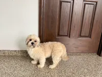 processed/d1a181ef-18c0-4932-8e08-0c0391f04f89/listing/4de8c8a1-28a9-41db-9694-3b3dcf21abaa/aba0ca8e-8a9f-408b-a7fc-e6c394598f21