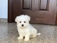 processed/d1a181ef-18c0-4932-8e08-0c0391f04f89/listing/4e0cf6f6-0368-4f32-8e09-629fe3eef31b/0594638f-6523-4b64-99c8-c7d1d1cd1c03