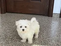 processed/d1a181ef-18c0-4932-8e08-0c0391f04f89/listing/4e0cf6f6-0368-4f32-8e09-629fe3eef31b/1e1ec0db-d346-443a-b3cc-79ed0b1e27c2