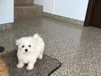 processed/d1a181ef-18c0-4932-8e08-0c0391f04f89/listing/4e0cf6f6-0368-4f32-8e09-629fe3eef31b/2b1209b5-334b-43a4-be33-d0f986eb985f